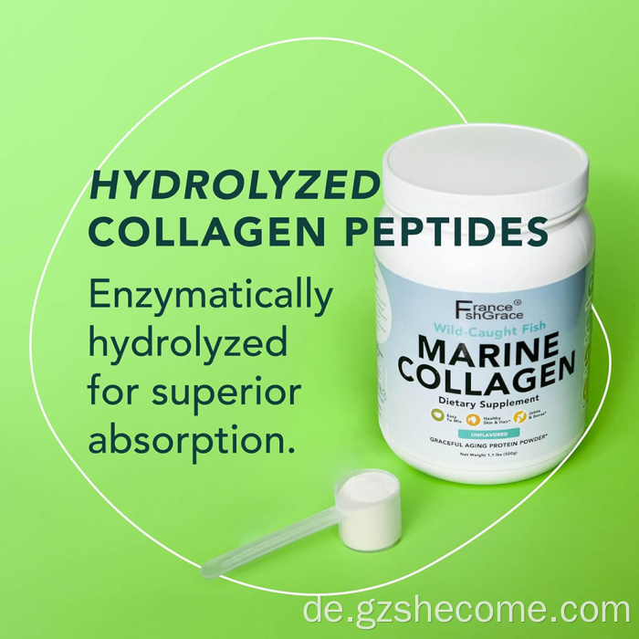 Marine Kollagenpeptide Pulverstütze für die Hautgesundheit